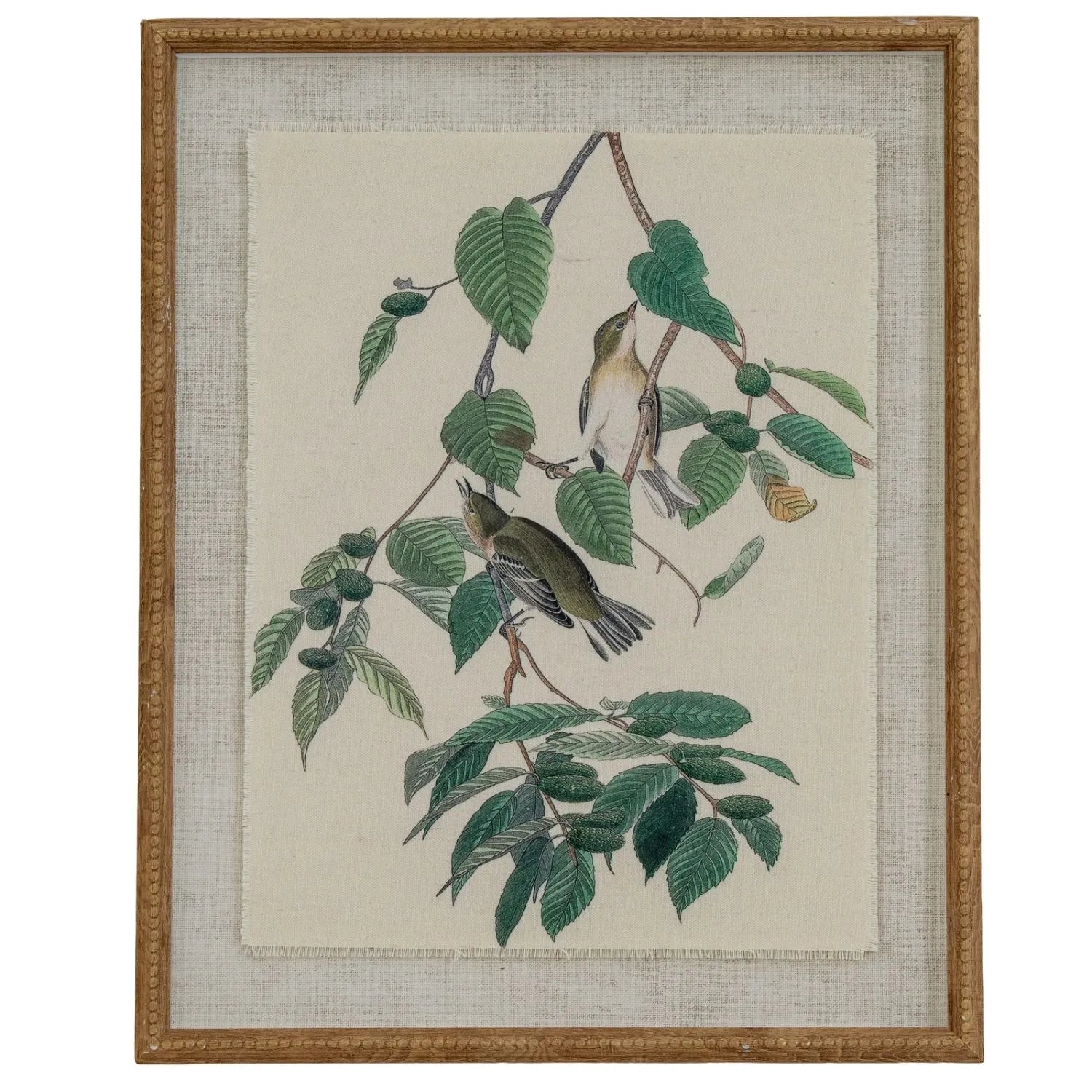 Neutral Ornithological Wood Warbler Bird Print with Linen Background – Beaded Wooden Frame Framed Wall Art 40x50x2cm | Click Style