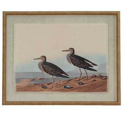 Neutral Ornithological Sandpiper Bird Print with Linen Background – Beaded Wooden Frame Framed Wall Art 40x50x2cm | Click Style