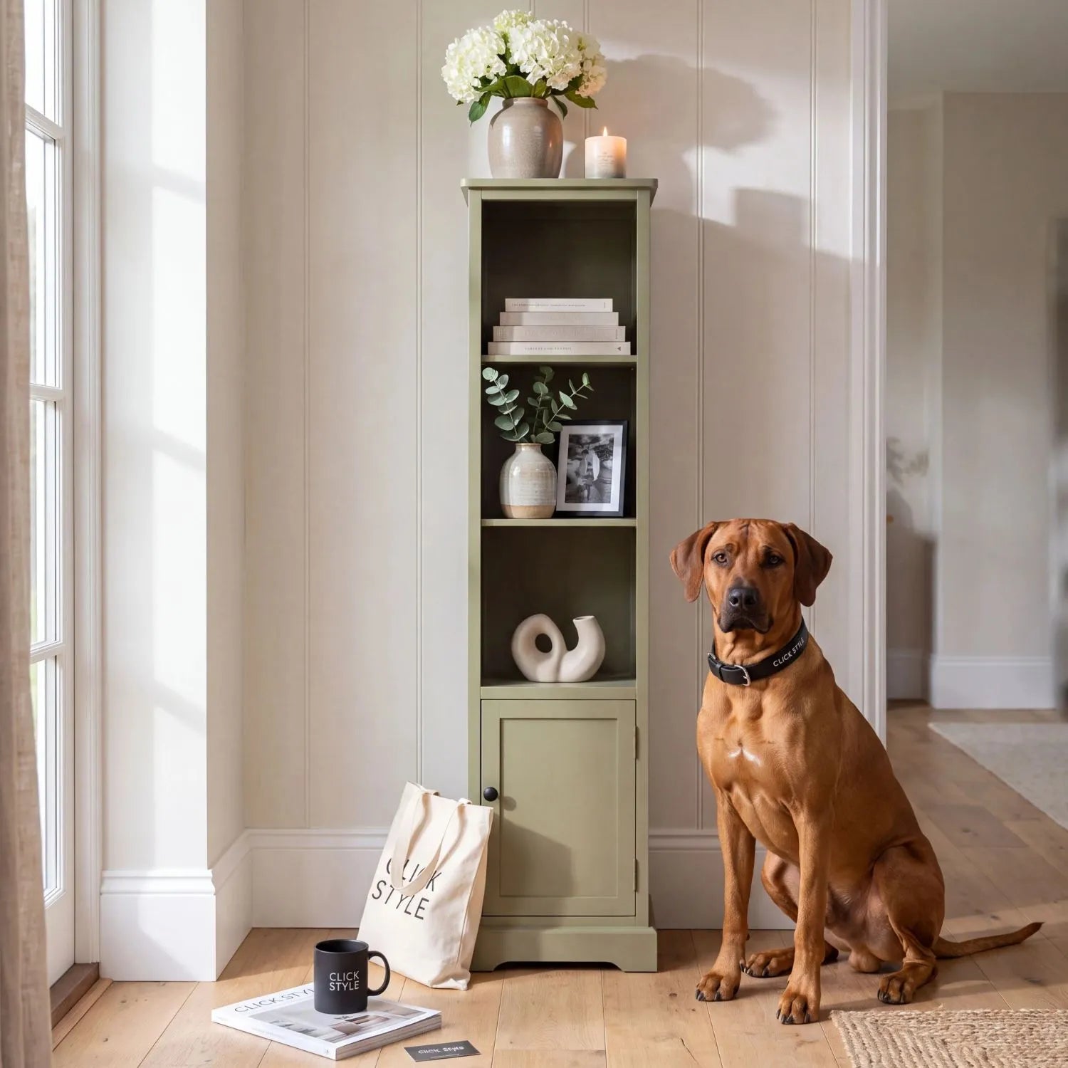 Olive Green Pine Wood 1 Door 3 Shelf Display Storage Unit with Matt Black Door Knob styled in a modern country home with a Rhodesian Ridgeback dog and Click Style branded accessories 153x38x30cm | Click Style