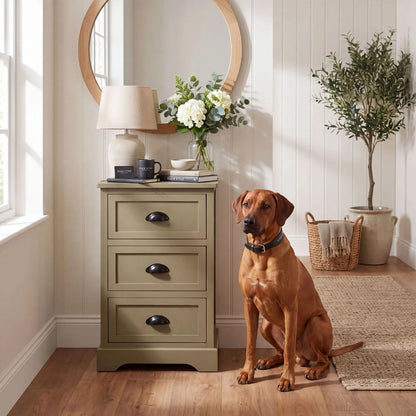 Olive Green Pine Wood 3 Drawer Chest of Drawers with Matt Black Cup Handles Styled in a Modern Country Hallway with Round Oak Mirror and Rhodesian Ridgeback Dog 70x41x33cm | Click Style