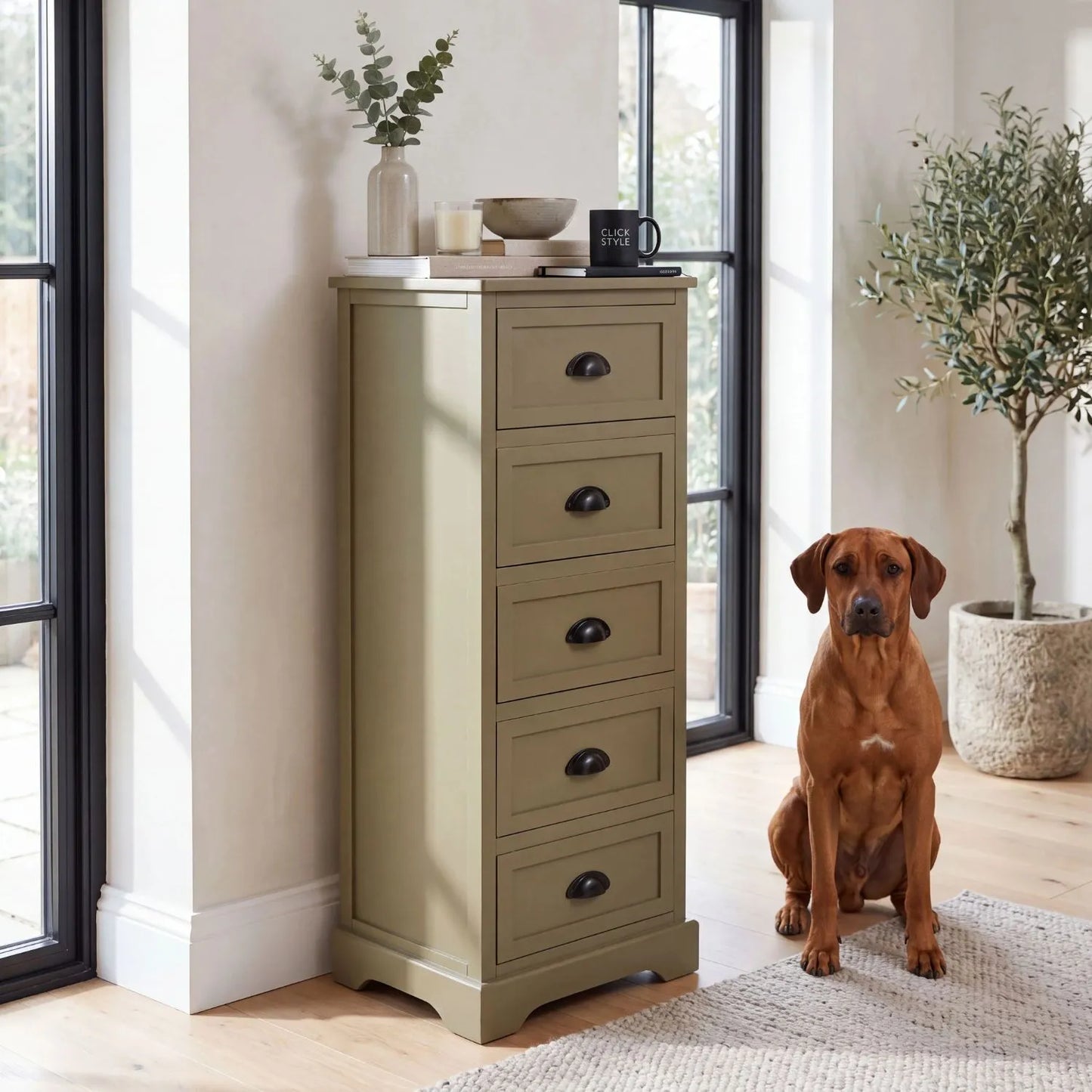 Olive Green Pine Wood 5 Drawer Tall Boy Chest of Drawers with Matt Black Cup Handles styled in a modern country home with a Rhodesian Ridgeback dog 108x41x33cm | Click Style