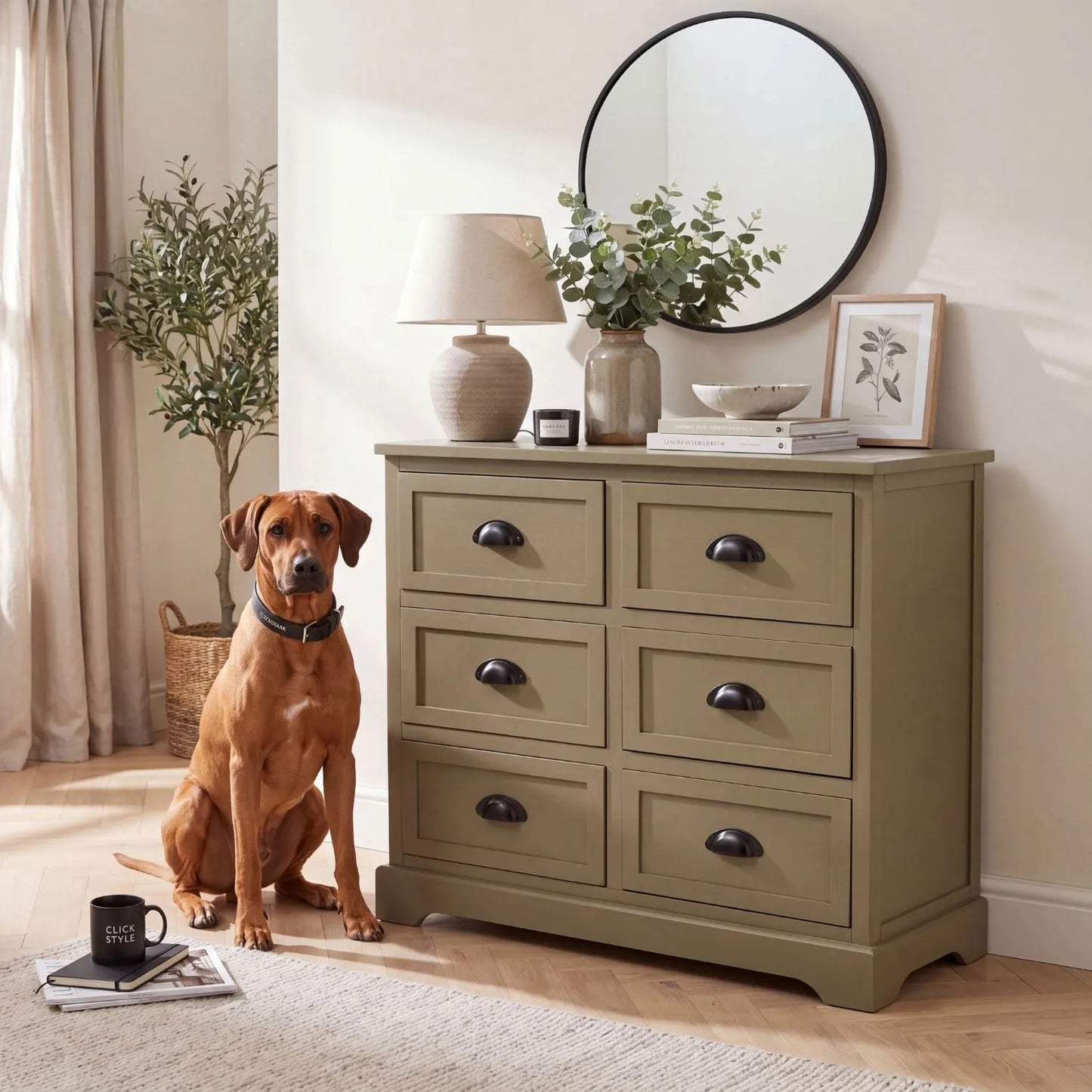 Olive Green Pine Wood 6 Drawer Chest of Drawers with Matt Black Cup Handles Styled in a Modern Country Living Room with Rhodesian Ridgeback Dog | Click Style