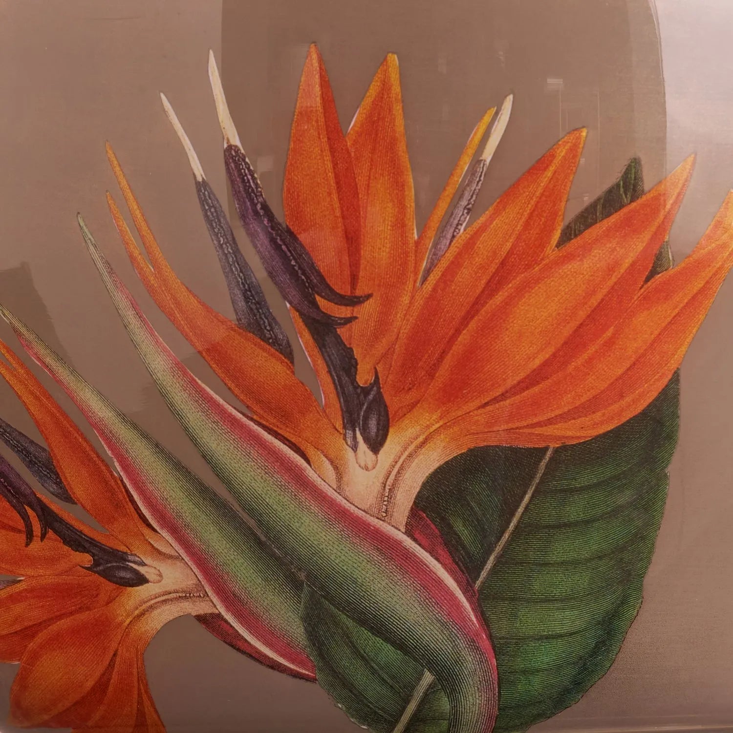 Jenny Worrall Orange & Purple Bird of Paradise & Foliage Beige Taupe & Champagne Gold Glass Table Lamp Base – Bulbous Shape & Antique Brass Collar – Handcrafted Luxury Floral Lighting 42x28x28cm | Click Style