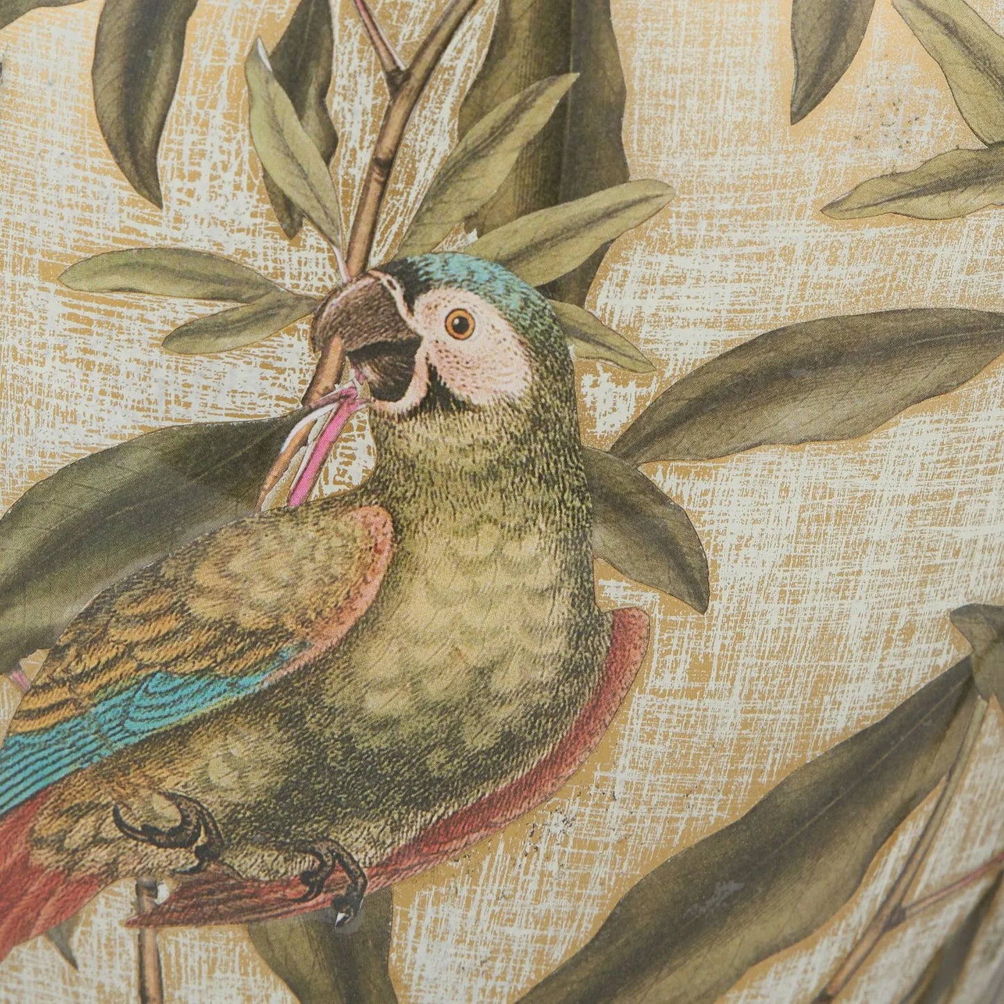 Jenny Worrall Quirky Parrots Distressed Gold & Off-White Glass Table Lamp Base with Bulbous Shape & Raised Antique Brass Feet – Handcrafted Tropical Bird & Leaf Foliage Lighting 30x16x16cm | Click Style