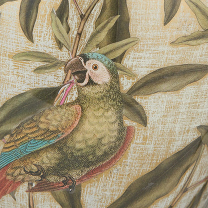 Jenny Worrall Quirky Parrots Distressed Gold & Off-White Glass Table Lamp Base with Bulbous Shape & Raised Antique Brass Feet – Handcrafted Tropical Bird & Leaf Foliage Lighting 30x16x16cm | Click Style