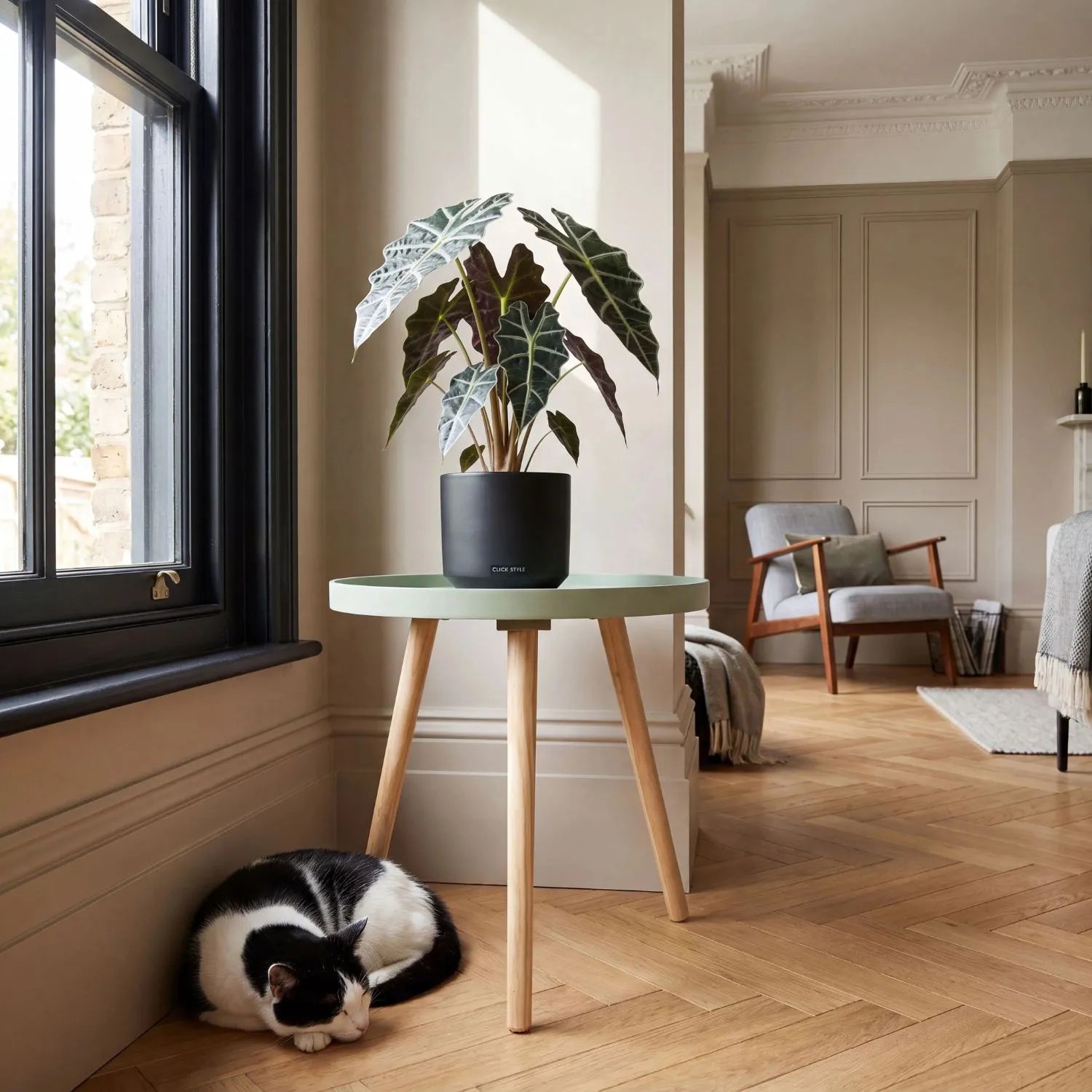 Sage Green Round Tripod Side Table with Pine Wooden Legs – Small Bedside or Coffee Table 43.5x41cm, Scandinavian Inspired Sage Green Side Table with Raised Edge Wood Veneer Top and Natural Pine Legs, Ideal as a Bedside Table, Lamp Table or Sofa Side Table for Bedrooms, Living Rooms and Reading Nooks | Click Style