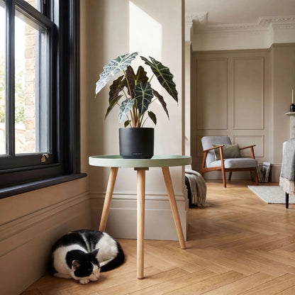 Sage Green Round Tripod Side Table with Pine Wooden Legs – Small Bedside or Coffee Table 43.5x41cm, Scandinavian Inspired Sage Green Side Table with Raised Edge Wood Veneer Top and Natural Pine Legs, Ideal as a Bedside Table, Lamp Table or Sofa Side Table for Bedrooms, Living Rooms and Reading Nooks | Click Style