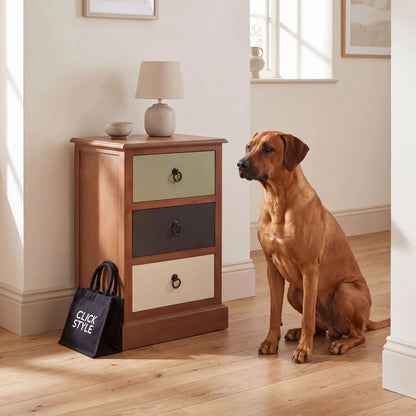 Sage green and neutral pine wood 3 drawer side table with black ring handles styled in a hallway with Rhodesian Ridgeback | Click Style