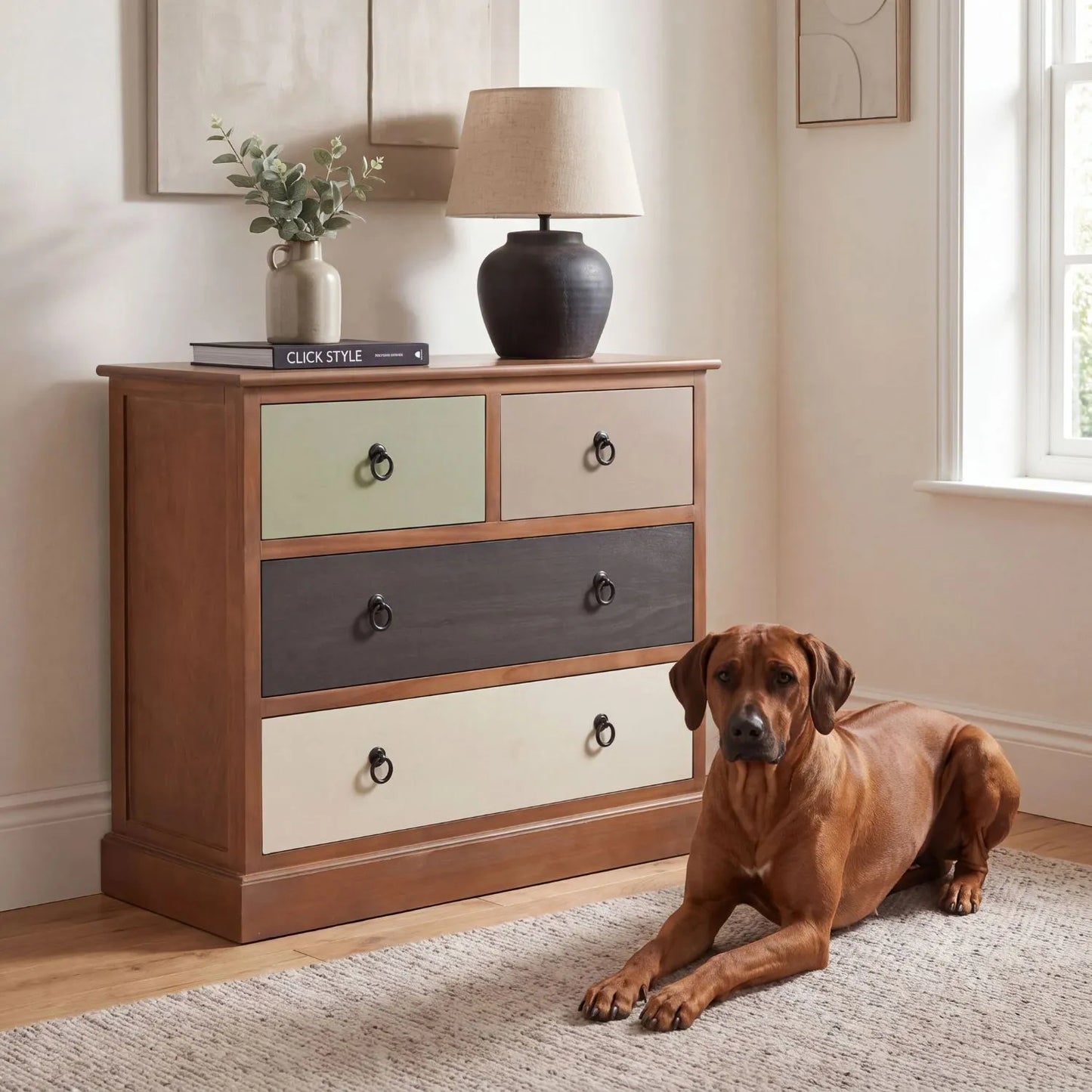 Sage Green & Neutral Pine Wood 4 Drawer Chest with Black Ring Handles styled in a neutral living room with Rhodesian Ridgeback | Click Style
