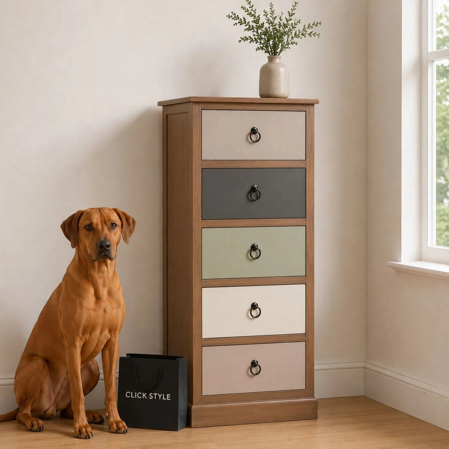 Sage Green & Neutral Pine Wood 5 Drawer Tallboy Chest of Drawers with black ring handles and Rhodesian Ridgeback dog | Click Style