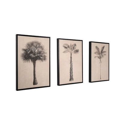 Set of 3 Neutral Beige & Black Framed Palm Tree Canvas Prints with Vintage Botanical Illustrations – Triptych Artwork 60x40x4cm perspective view showing three framed botanical palm illustrations with warm beige backgrounds and black frames | Click Style