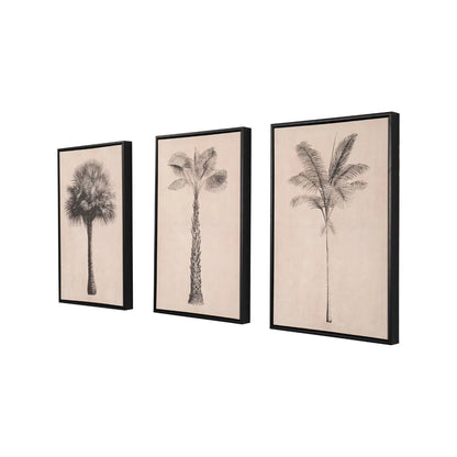 Set of 3 Neutral Beige & Black Framed Palm Tree Canvas Prints with Vintage Botanical Illustrations – Triptych Artwork 60x40x4cm angled view showing all three coordinating palm tree designs and the depth of their black frames | Click Style