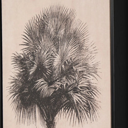 Set of 3 Neutral Beige & Black Framed Palm Tree Canvas Prints with Vintage Botanical Illustrations – Triptych Artwork 60x40x4cm close-up showing densely layered black palm fronds and vintage botanical sketch detailing | Click Style