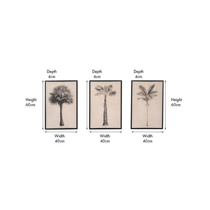 Set of 3 Neutral Beige & Black Framed Palm Tree Canvas Prints with Vintage Botanical Illustrations – Triptych Artwork 60x40x4cm dimensions diagram showing each framed canvas measures 60cm high 40cm wide and 4cm deep | Click Style