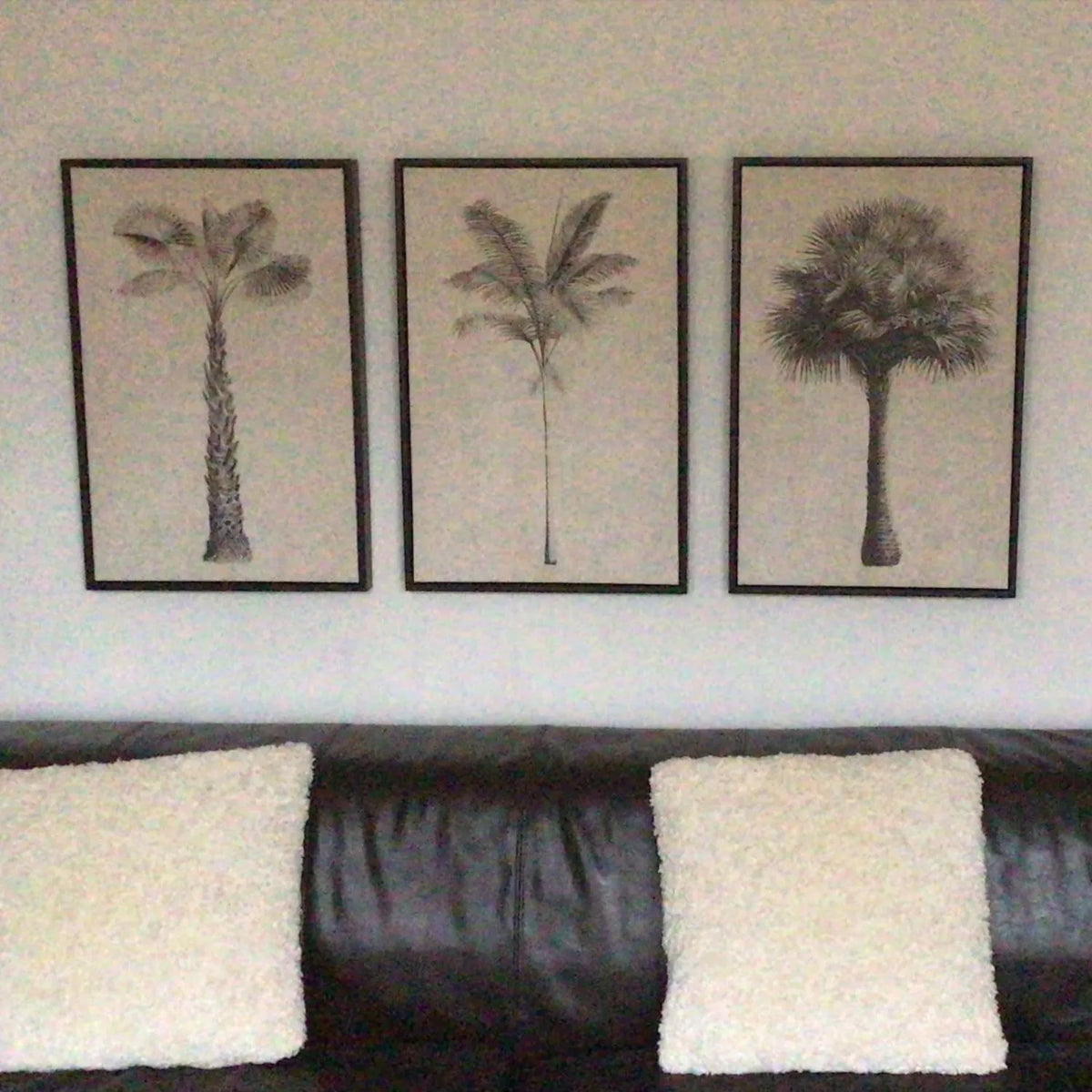 Set of 3 Neutral Beige & Black Framed Palm Tree Canvas Prints with Vintage Botanical Illustrations – Triptych Artwork 60x40x4cm displayed above a dark leather sofa with cream cushions in a real customer's living room – Customer Photograph | Click Style