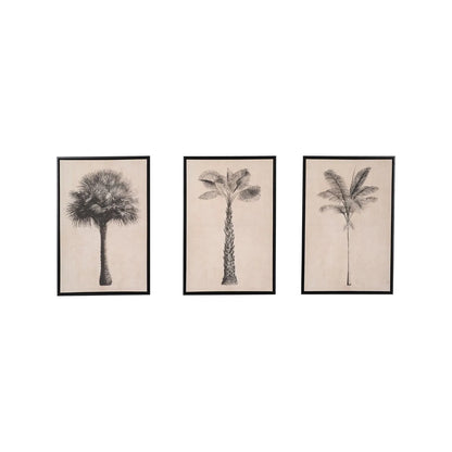 Set of 3 Neutral Beige & Black Framed Palm Tree Canvas Prints with Vintage Botanical Illustrations – Triptych Artwork 60x40x4cm front view showing all three coordinating vintage botanical palm tree illustrations displayed side by side | Click Style