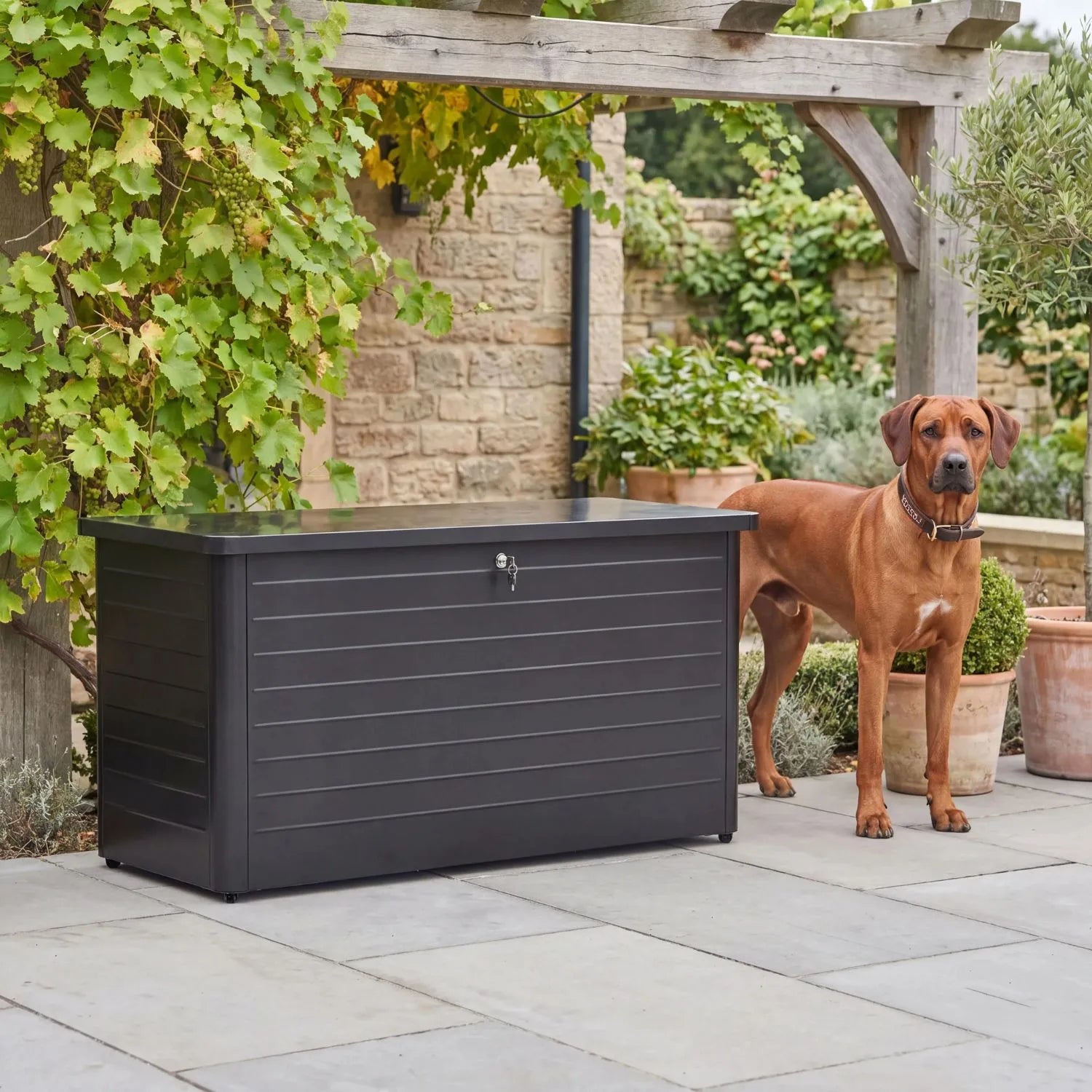 Small Black Galvanised Steel Outdoor Cushion Storage Box with Lockable Lid styled in a British garden with Rhodesian Ridgeback dog 78x134x62cm | Click Style