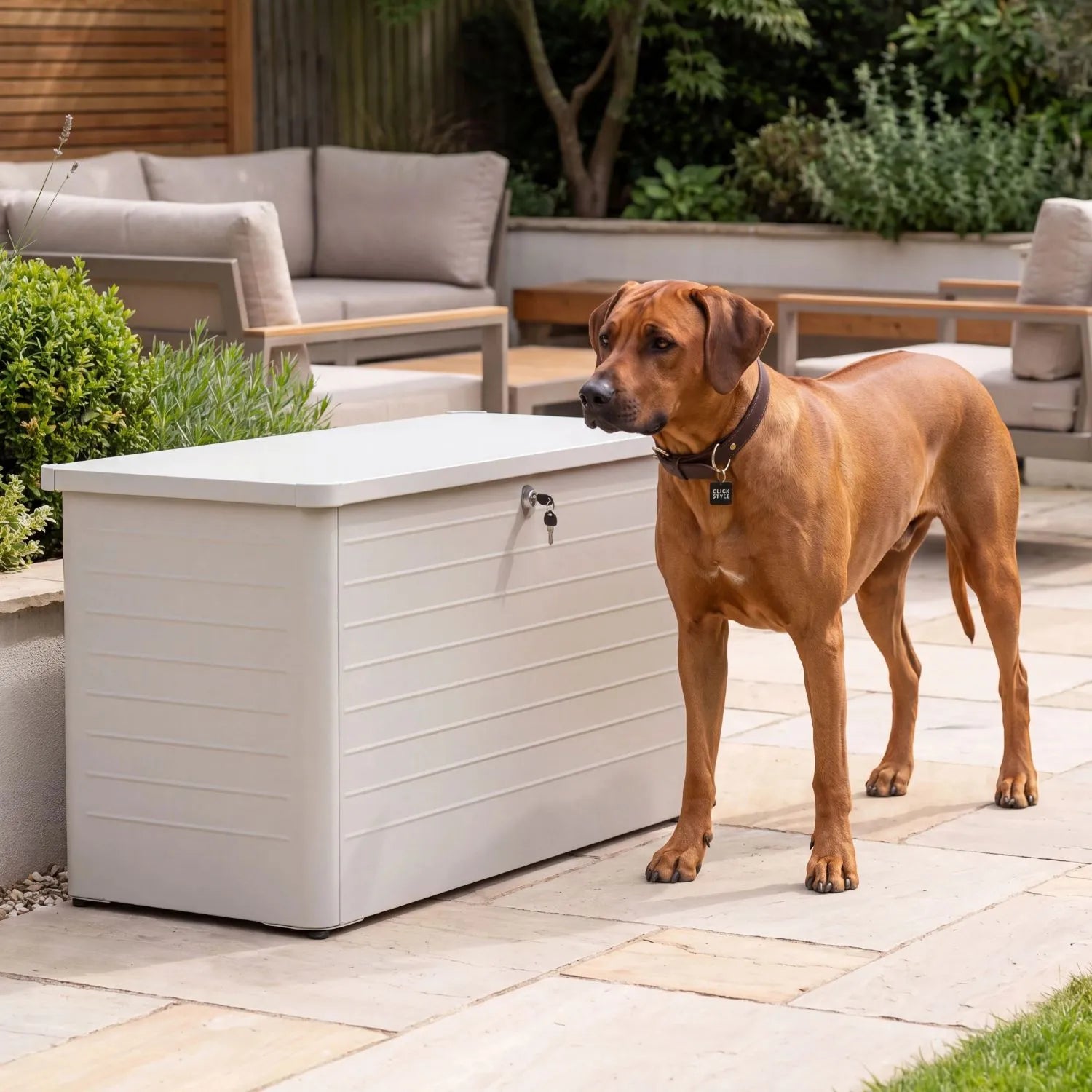 Small Light Grey Pebble Galvanised Steel Outdoor Cushion Storage Box with closed lid and Rhodesian Ridgeback dog styled in a contemporary garden with Click Style branding | Click Style
