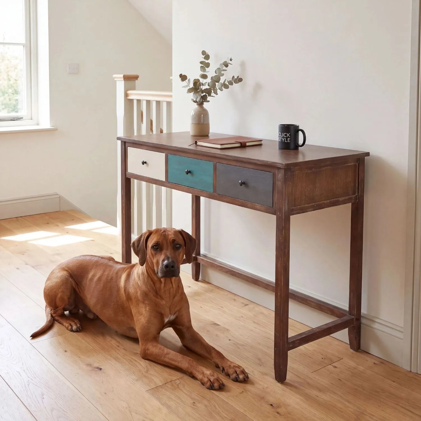 Turquoise blue and neutral distressed pine wood 3 drawer desk with black knob handles styled on a landing with Rhodesian Ridgeback | Click Style