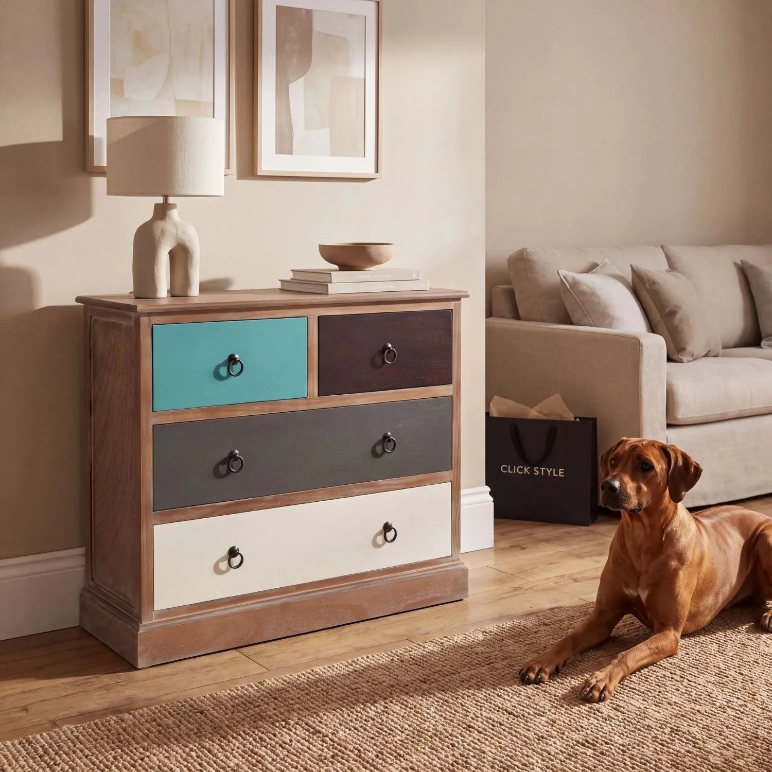 Turquoise Blue & Neutral Distressed Pine Wood 4 Drawer Chest with Black Ring Handles styled in a neutral living room with Rhodesian Ridgeback | Click Style