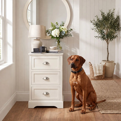 Warm Ivory Pine Wood 3 Drawer Chest of Drawers with Polished Silver Cup Handles styled in a modern country hallway with Rhodesian Ridgeback 70x41x33cm | Click Style