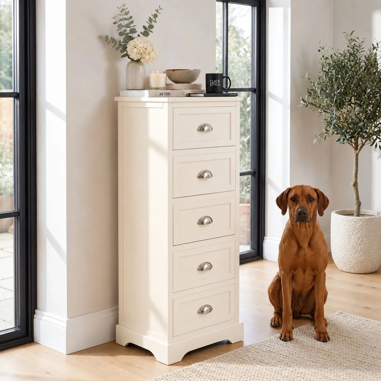Warm Ivory Pine Wood 5 Drawer Tall Boy Chest of Drawers with Polished Silver Cup Handles styled in a modern home with a Rhodesian Ridgeback dog | Click Style