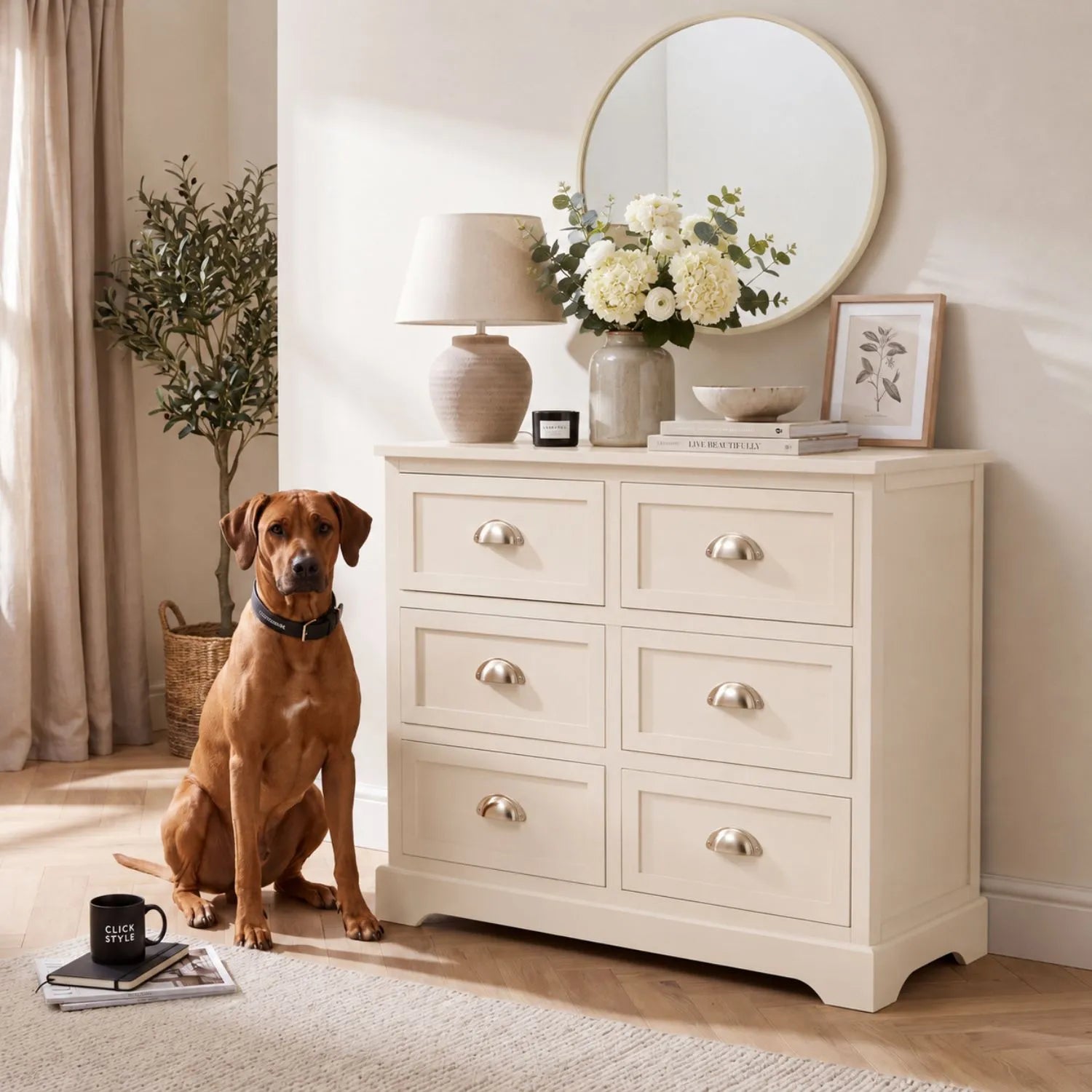 Warm Ivory Pine Wood 6 Drawer Chest of Drawers with Polished Silver Cup Handles styled in a neutral home with Rhodesian Ridgeback 70x76x33cm | Click Style