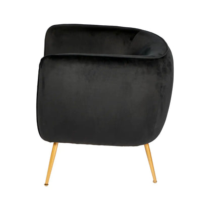 Aalya Black Velvet Armchair with Gold/Black Metal Legs – Click Style