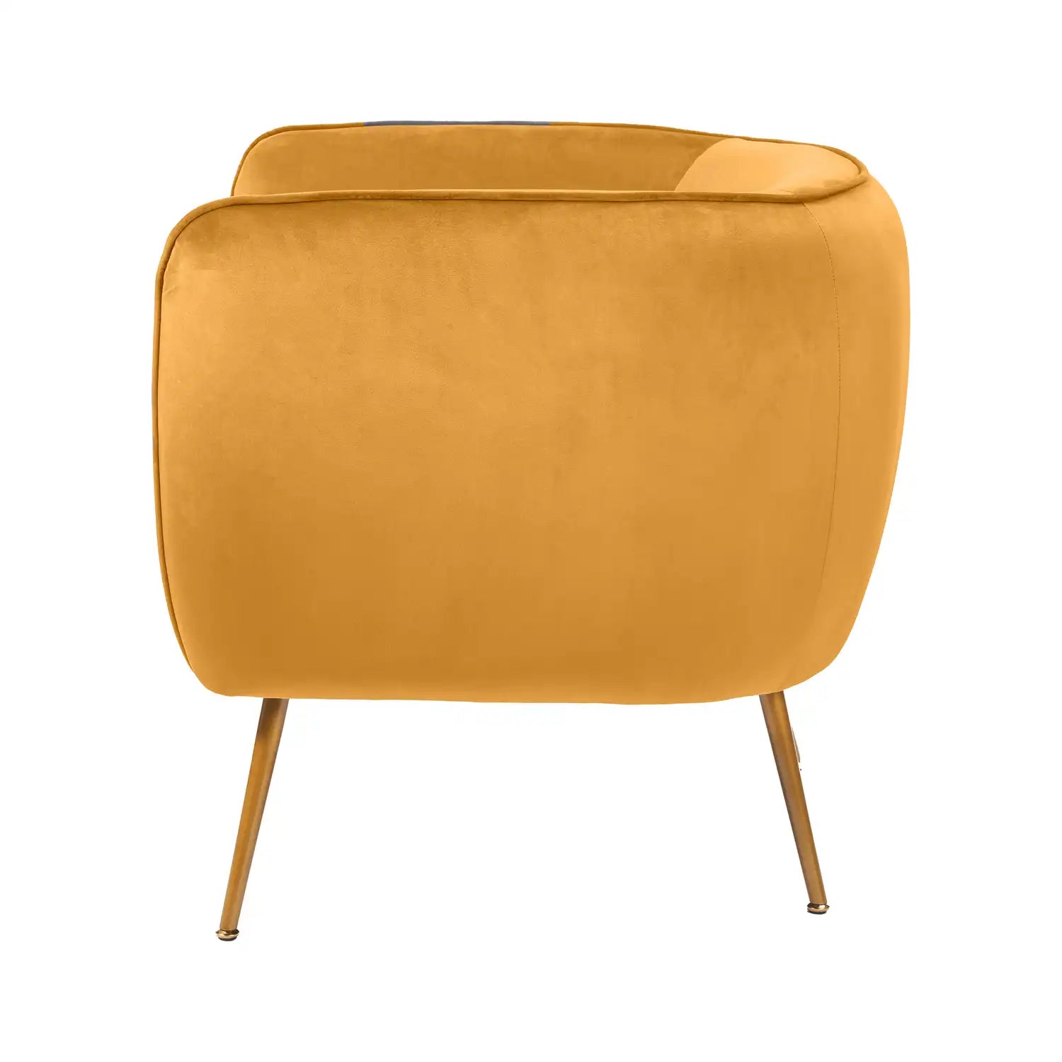 Aalya Gold Velvet Armchair with Gold/Black Metal Legs – Click Style