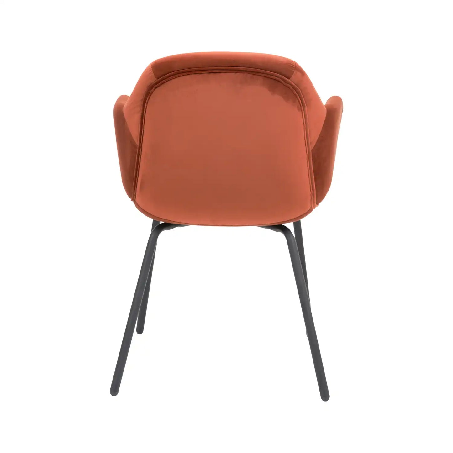 Amas Burnt Orange Velvet Carver Dining Chair with Black Metal Legs – Click Style