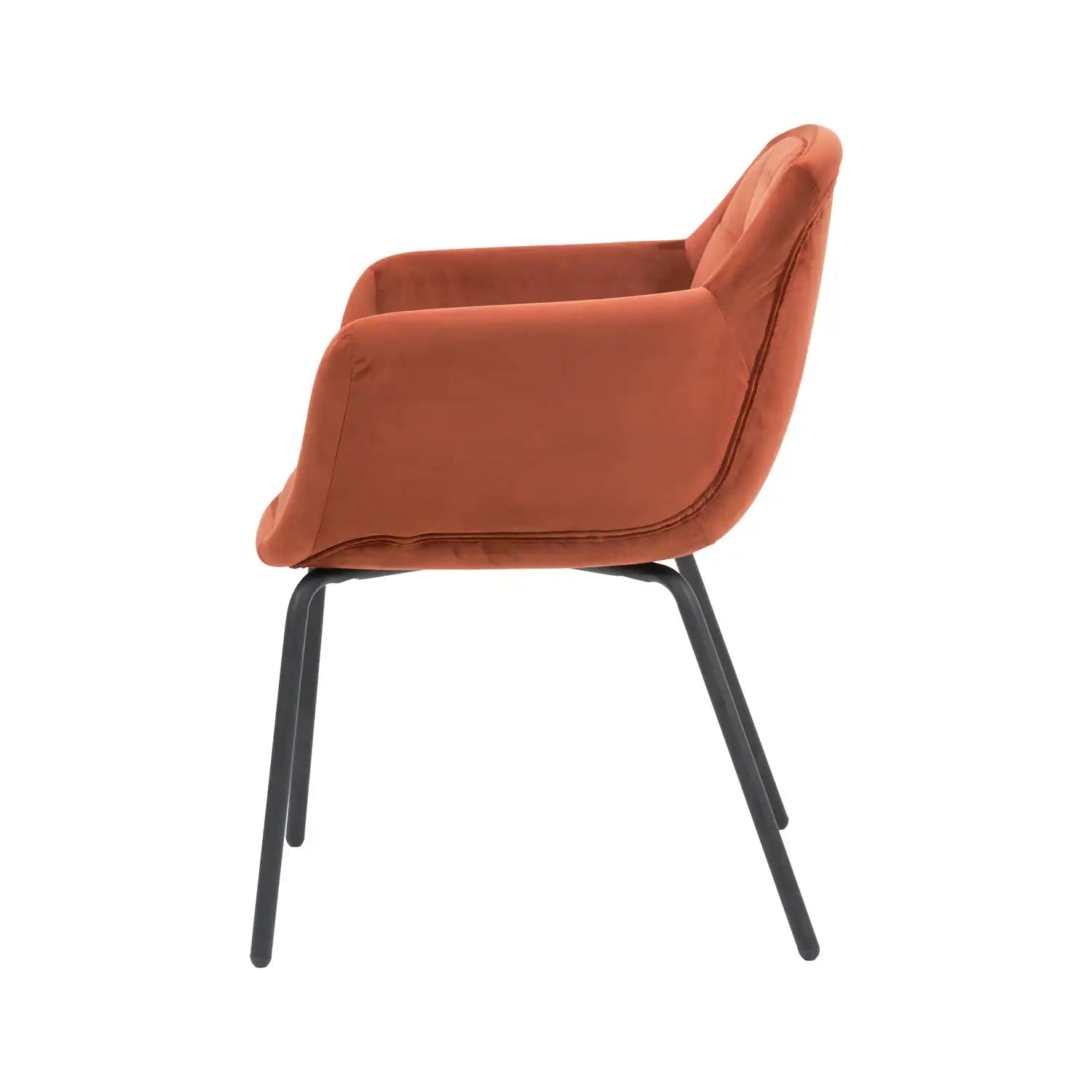 Amas Burnt Orange Velvet Carver Dining Chair with Black Metal Legs – Click Style