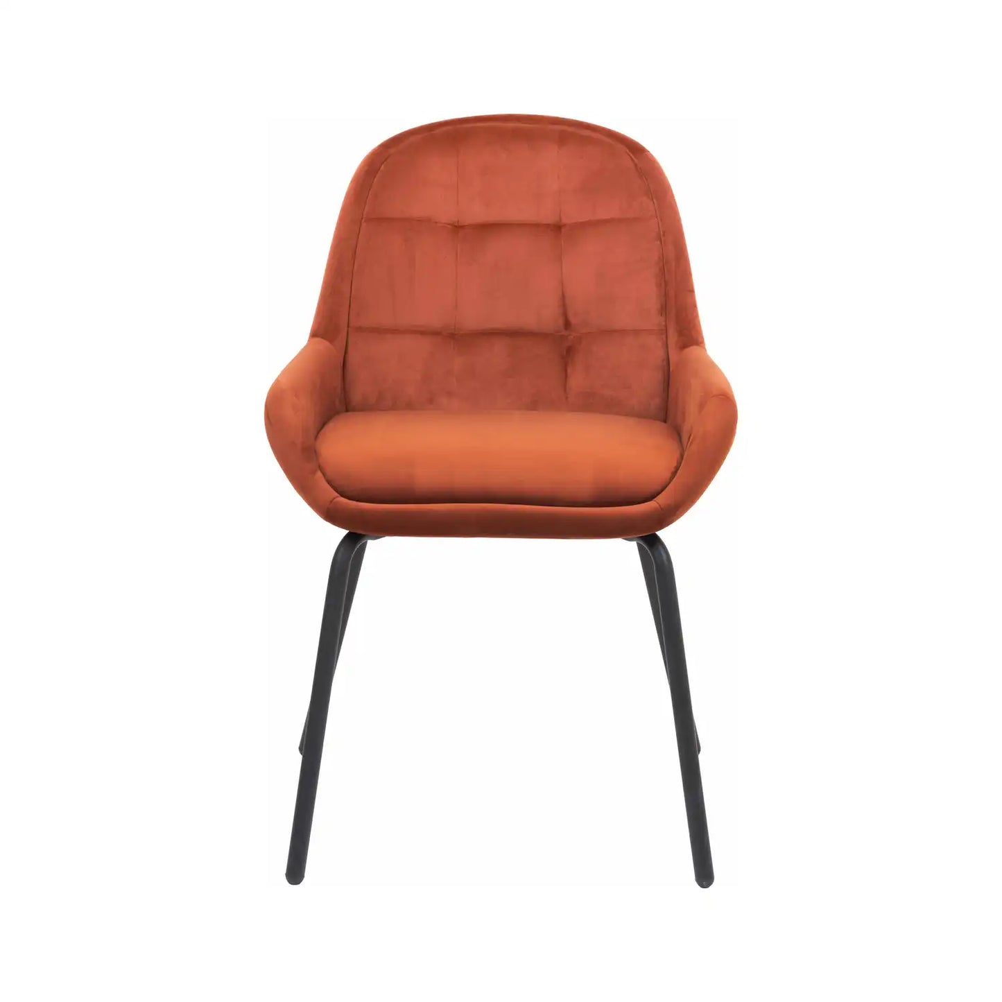 Amas Burnt Orange Velvet Dining Chair with Black Metal Legs – Click Style