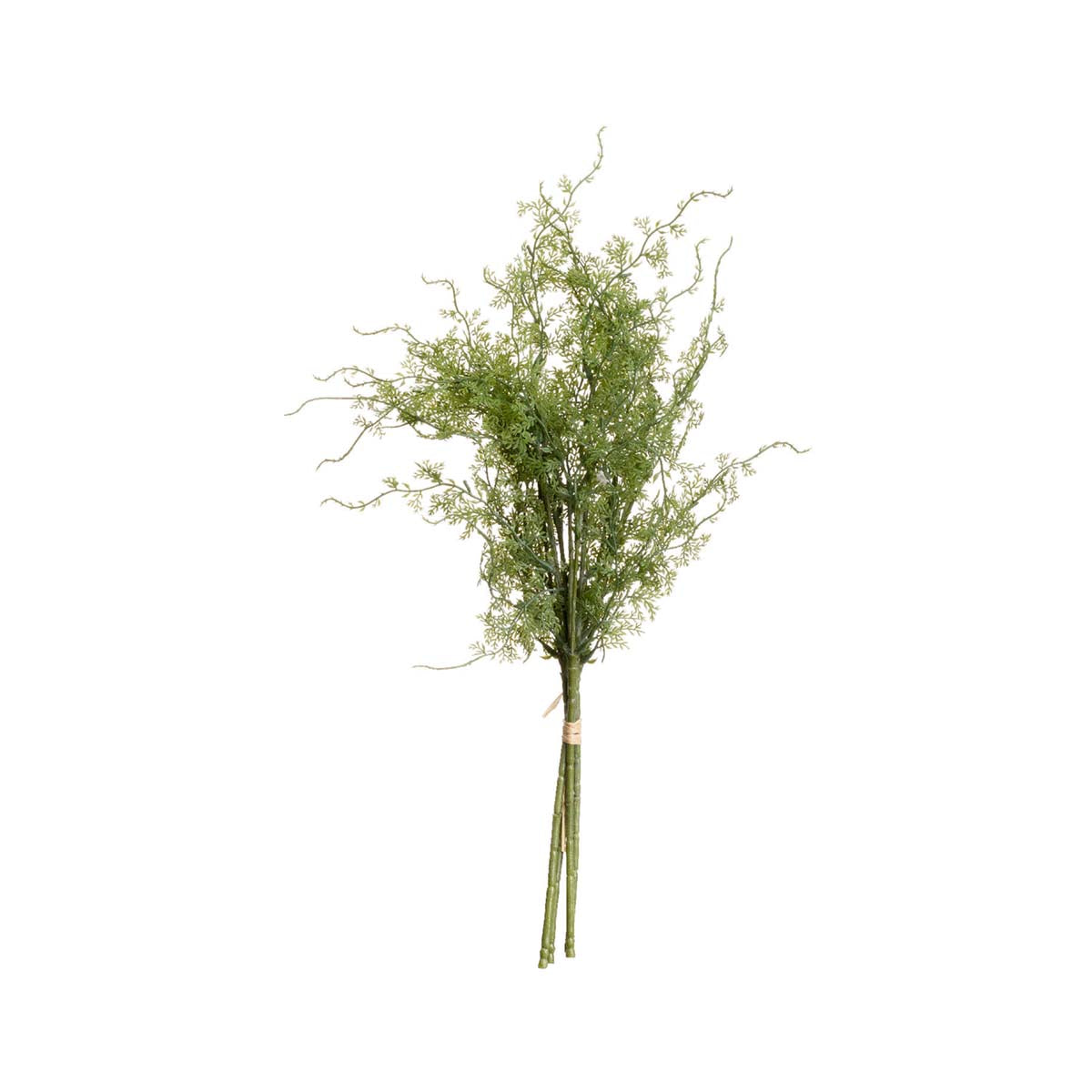 Artificial Asparagus Fern Stem – Click Style