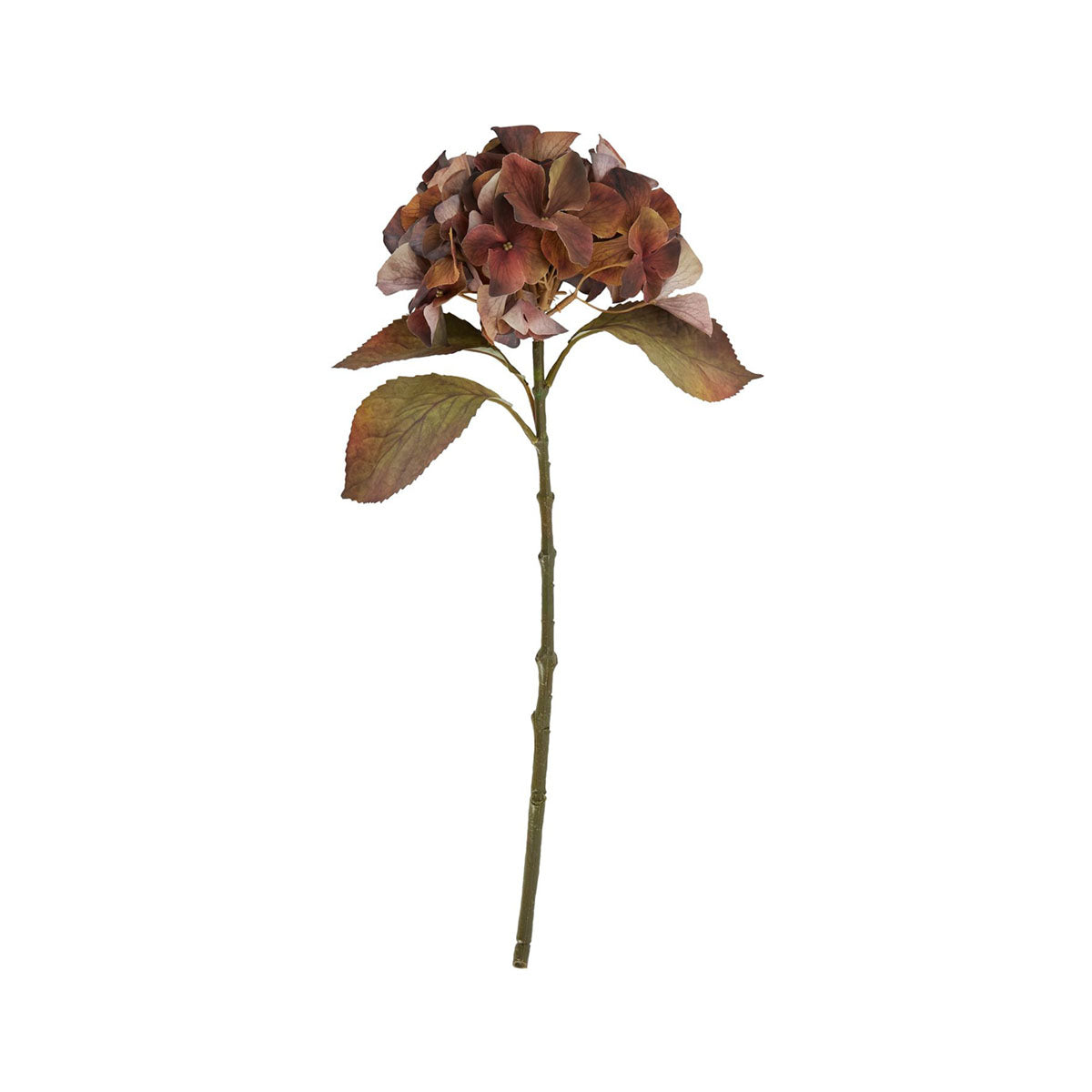 Artificial Autumnal Brown Hydrangea Stem – Click Style