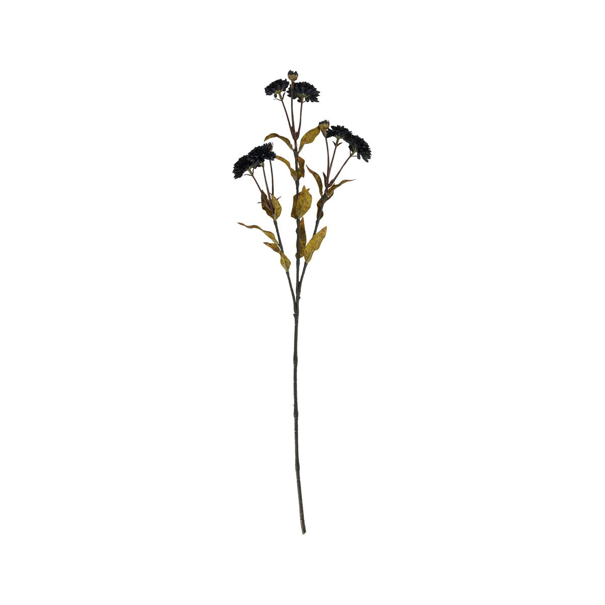 Artificial Black Chrysanthemum Stem – Click Style