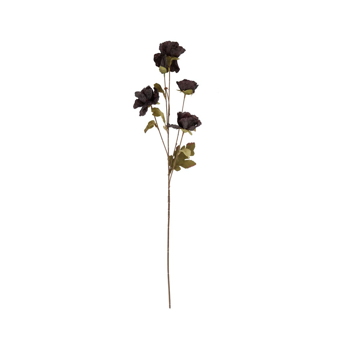 Artificial Black Poppy Stem – Click Style