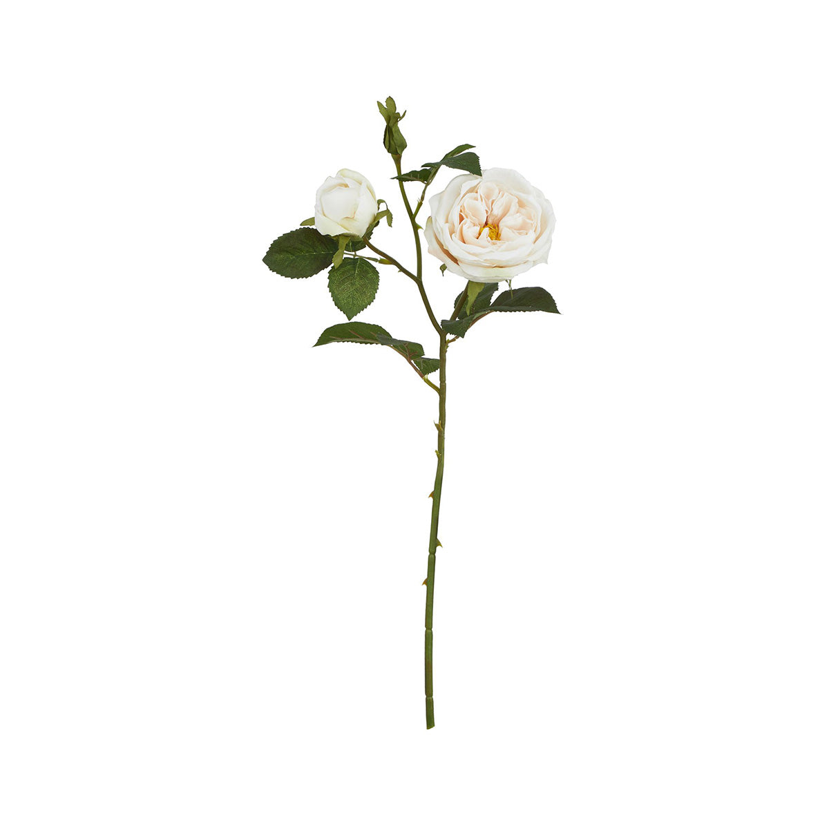 Artificial Blush Charity Rose Stem – Click Style