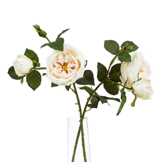 Artificial Blush Charity Rose Stem – Click Style