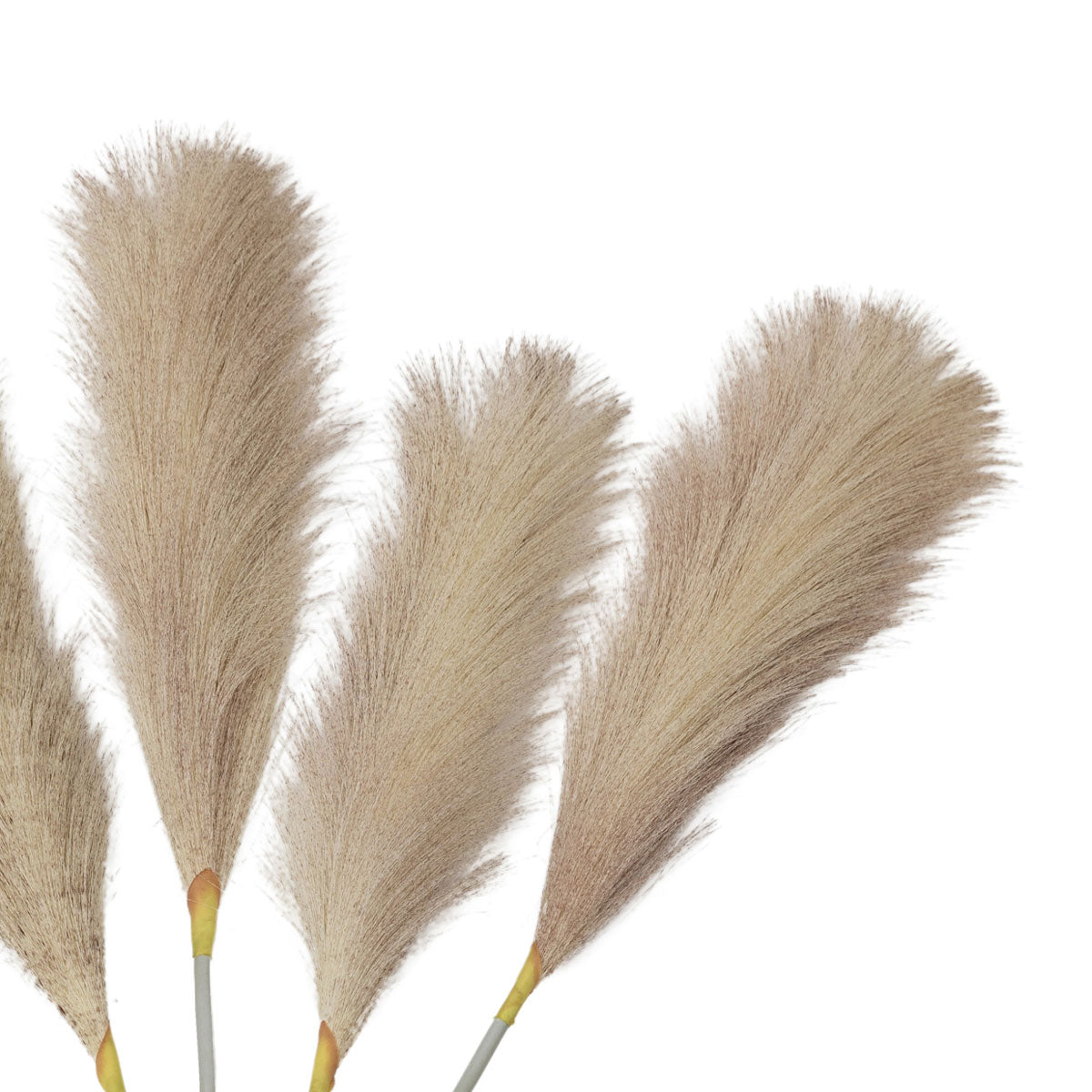 Artificial Blush Feather Pampas Grass Bunch of 5 Stems– Click Style