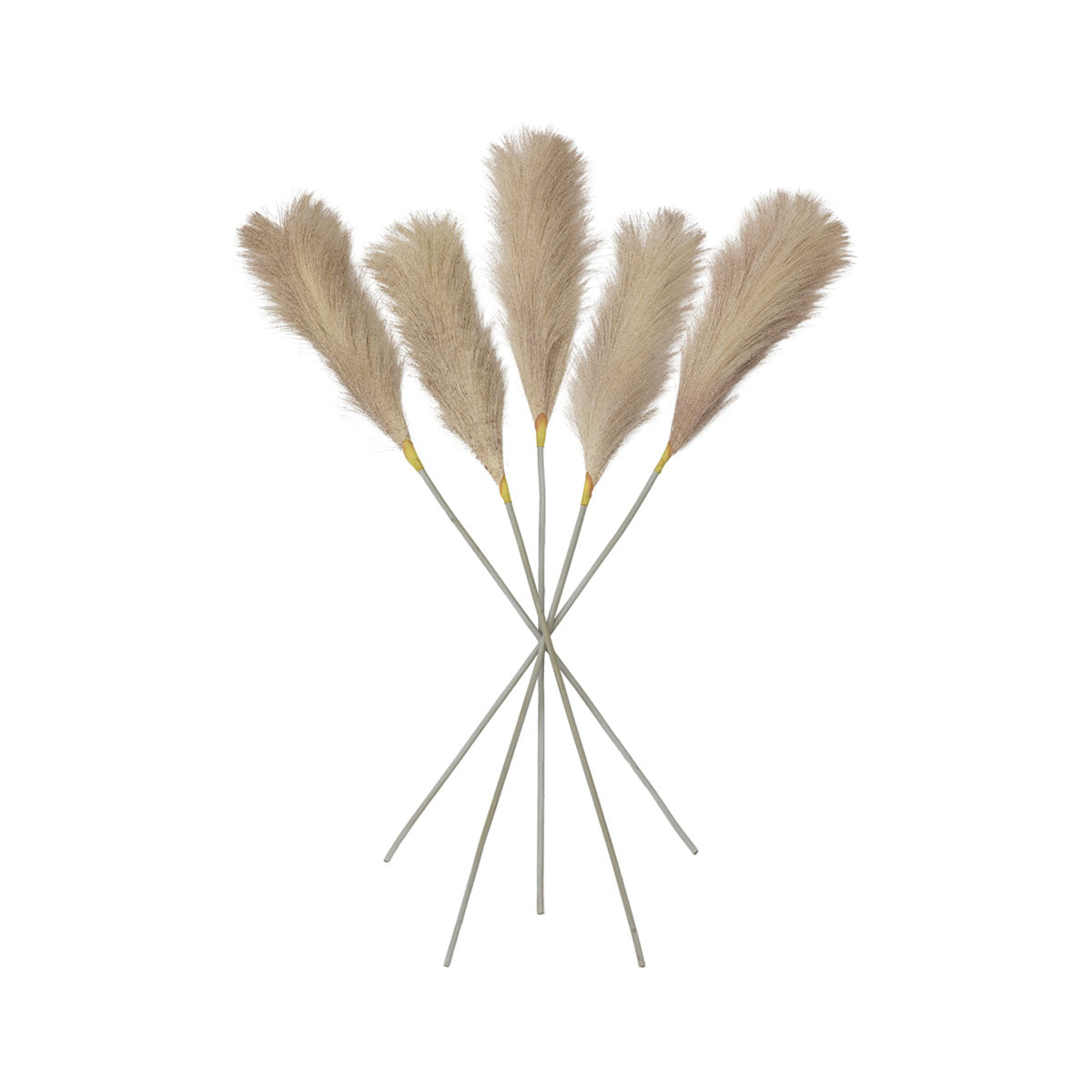 Artificial Blush Feather Pampas Grass Bunch of 5 Stems– Click Style