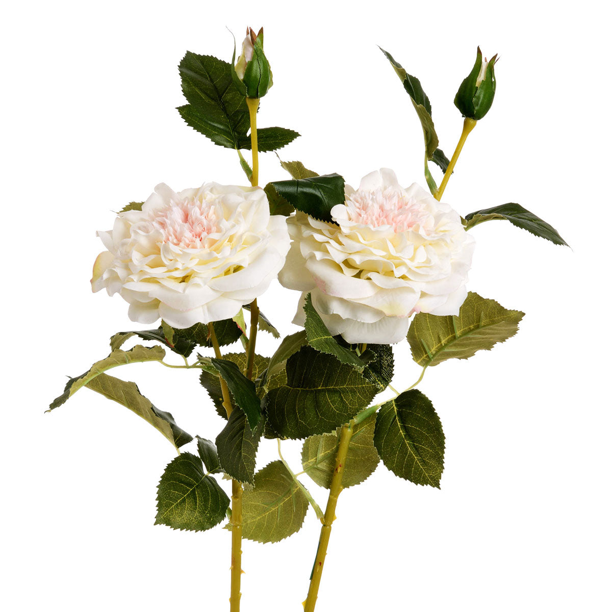 Artificial Blush White Garden Rose Spray – Click Style