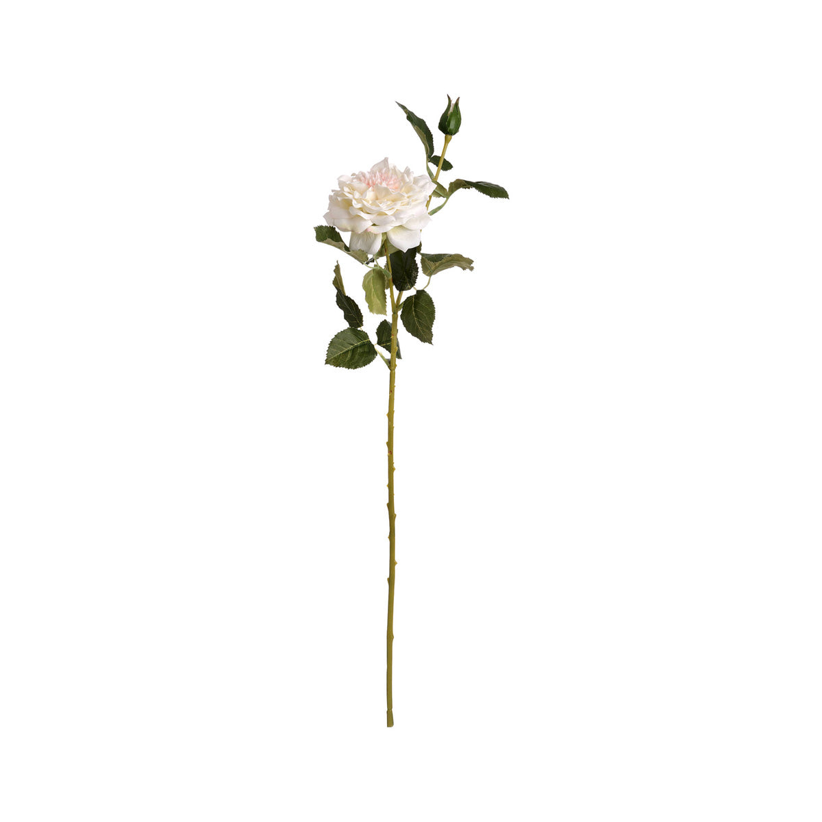 Artificial Blush White Garden Rose Spray – Click Style