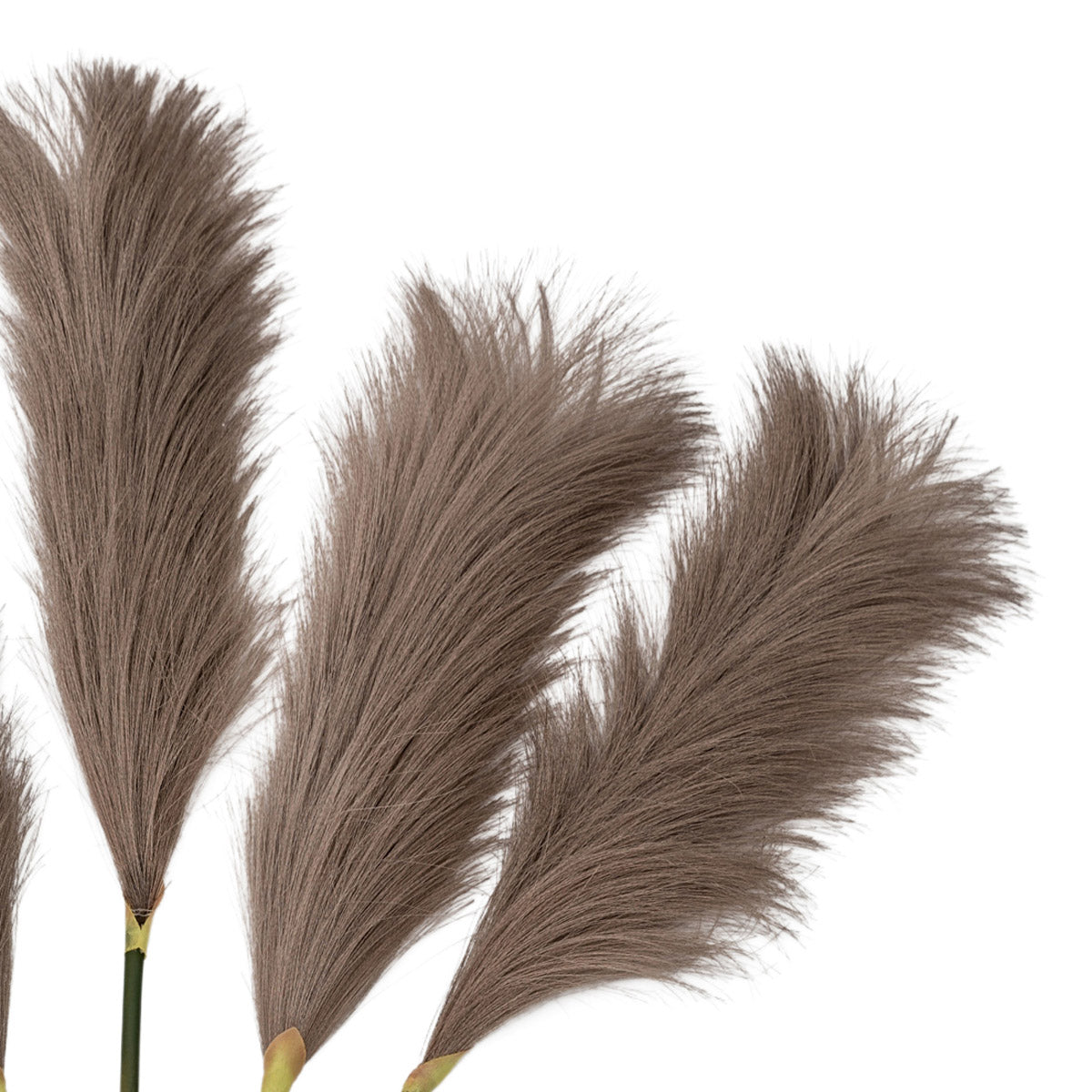 Artificial Brown Feather Pampas Grass Bunch of 5 Stems– Click Style