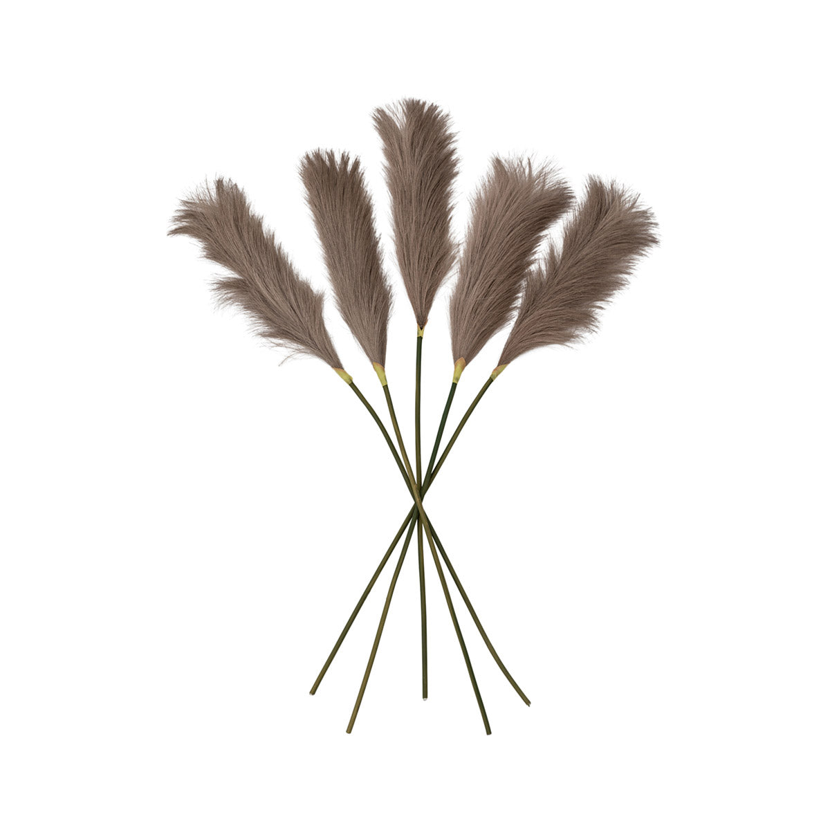 Artificial Brown Feather Pampas Grass Bunch of 5 Stems– Click Style