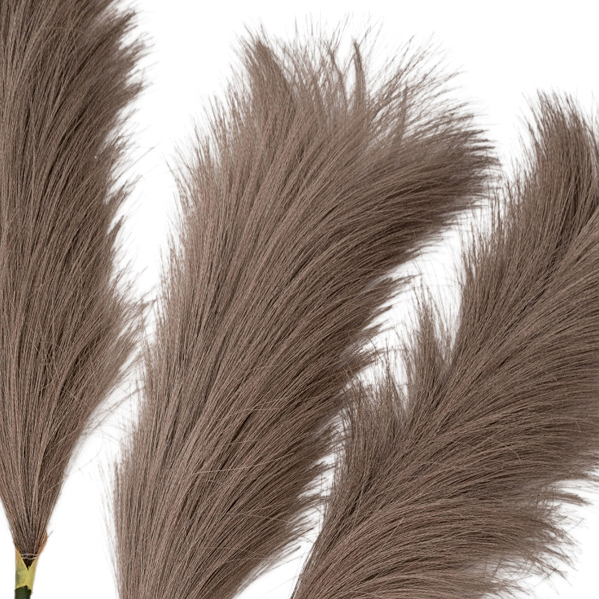 Artificial Brown Feather Pampas Grass Bunch of 5 Stems– Click Style