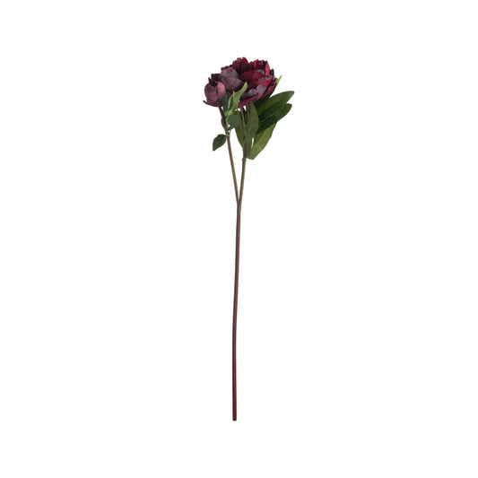 Artificial Burgundy Peony Rose Stem - Click Style
