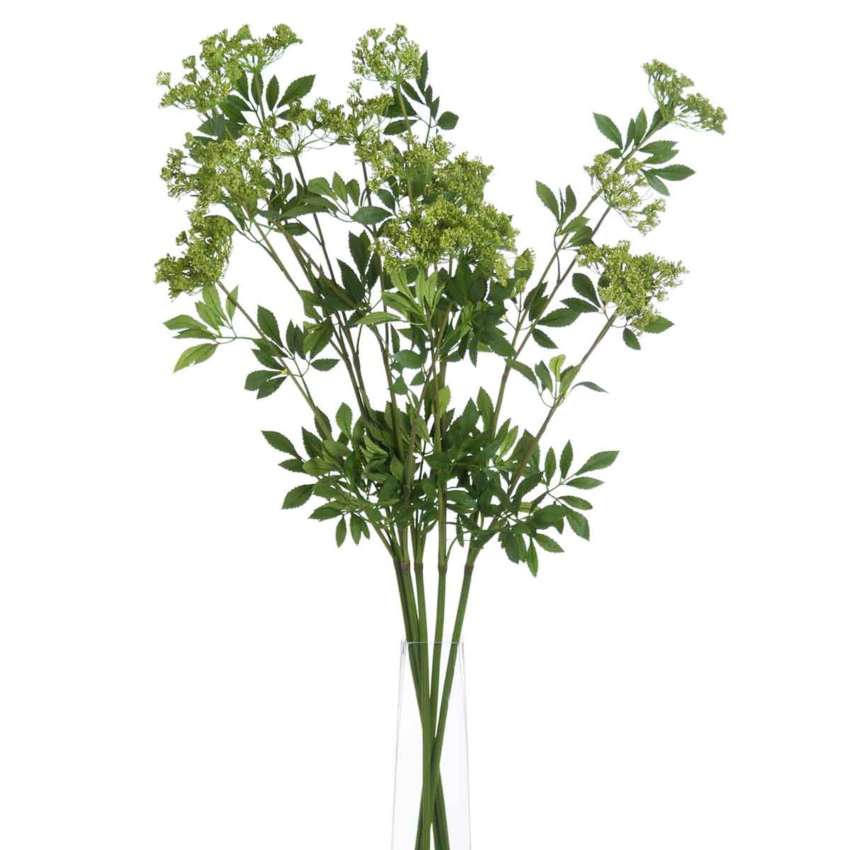 Artificial Cow Parsley Stem – Click Style