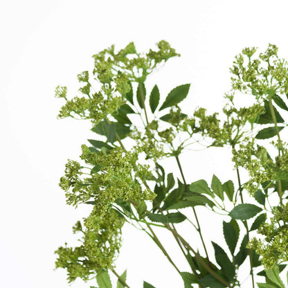 Artificial Cow Parsley Stem – Click Style