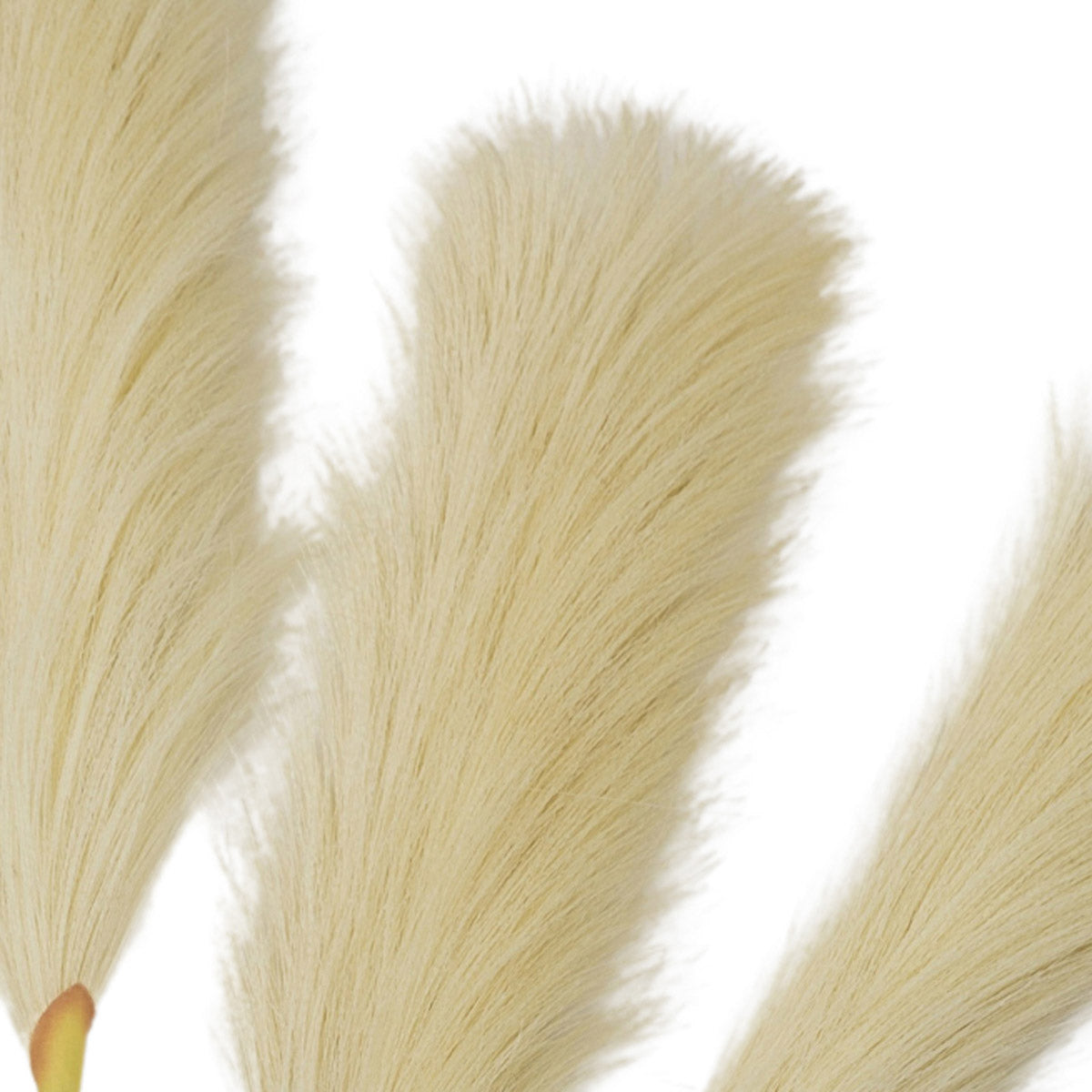 Artificial Cream Feather Pampas Grass Bunch of 5 Stems– Click Style