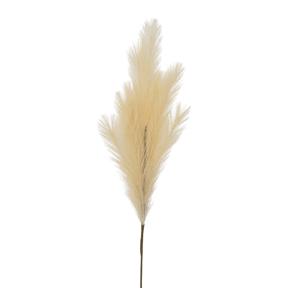 Artificial Cream Feather Pampas Grass Bunch of 6 Stems– Click Style